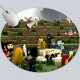 106036 copy