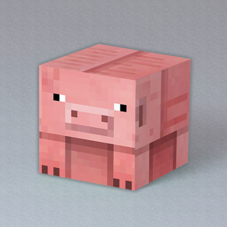 RM_pigcube