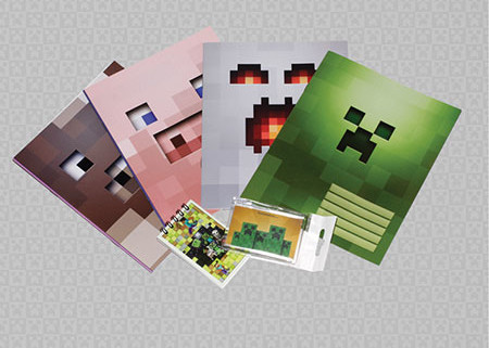 RM_Minecraft_stationary